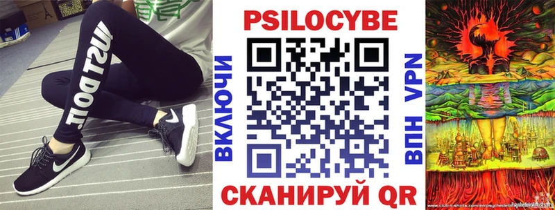 Галлюциногенные грибы Psilocybe Дегтярск