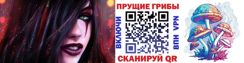 Псилоцибиновые грибы мухоморы где продают наркотики Дегтярск